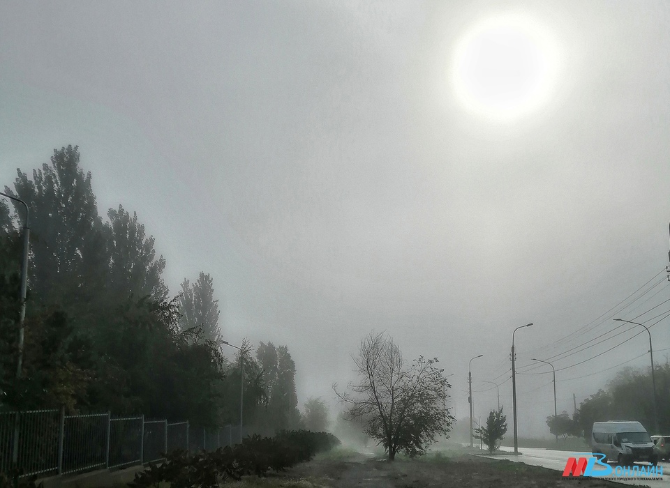 Рабочая неделя в Волгоградской области начнётся с дождей, снега и тумана